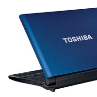 Duet Cabe Rawit Toshiba di Awal Tahun