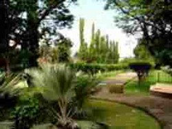 Duh, Sudah Dibenahi 3 Minggu Taman Tegalega Masih Banyak Sampah