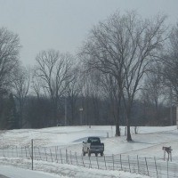 Korsel Terancam Krisis Listrik, Hotel & Kantor Harus Kurangi Pemanas