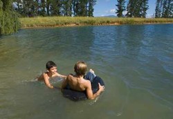 Cara Berenang yang Benar dan Sehat