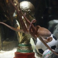 Paul Gurita Diabadikan di Pojok Paul