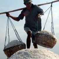 Genjot Produksi, PT Garam Ekspansi Rp 17 Miliar