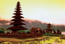 Bali Masih Aman dari Penyakit Legionnaire