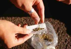 Obat HIV di Afsel Sering Dirampok untuk Campuran Ganja