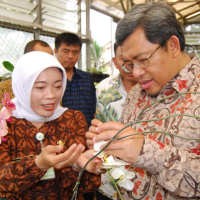 Gubernur Abadikan Nama Istrinya Pada Sebuah Anggrek Silangan