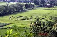 TNI AU Duga Kuat Crop Circle Karya Seni Buatan Manusia