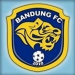 Lawan Irfan cs, Bandung FC Sediakan 1.000 Tiket Gratis 