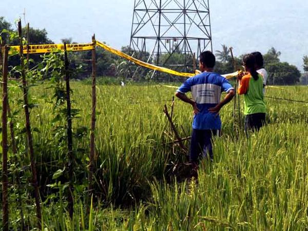 Crop Circle di Sleman Digaris Polisi