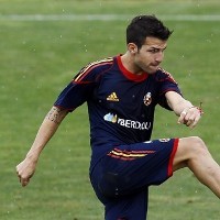 Fabregas Bakal Jadi Kapten Spanyol