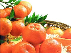 Jeruk Lokam, Buah Wajib Saat Imlek