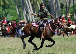 Festival Pasola 2011, Sumba, NTT