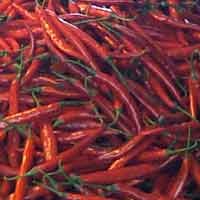 Harga Cabai di Surabaya Belum Terkontrol