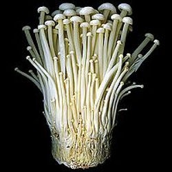 Jamur Enoki