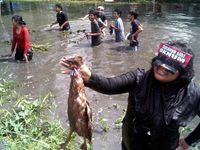 Lomba Menangkap Gayus Seru