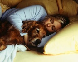 Tidur dengan Hewan Peliharaan Bisa Tertular Meningitis