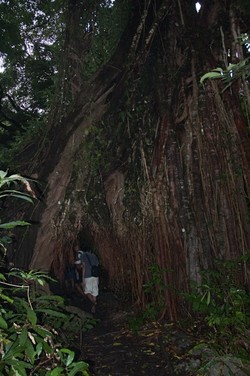 Penjaga Ujung Barat Pulau Jawa
