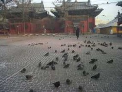 Yuk Melongok Biara Gandan di Mongolia