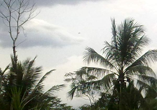 UFO Terlihat di Atas Crop Circle Magelang