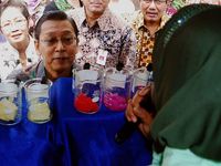 Wapres Resmikan Gerakan Jajanan Anak Sekolah