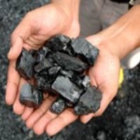 PTBA Anggarkan Belanja Modal Rp 1,8 Triliun