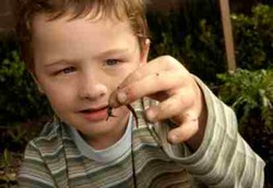 Jumlah Anak Cacingan di Jakarta Menurun