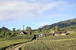 Wisata Gunung Semeru