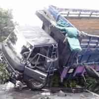 Truk Hajar Pohon & Terguling Gara-gara Kucing Nyeberang