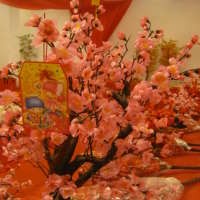 Si cantik Bunga Mei Hua