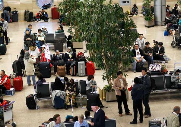 Bandara Kairo Dipadati WNA