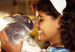 Pelihara Kelinci Bagus untuk Kesehatan Wanita