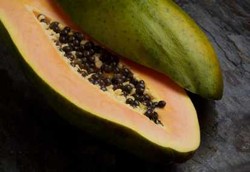 Getah Pepaya Bagus untuk Orang yang Sering Kentut