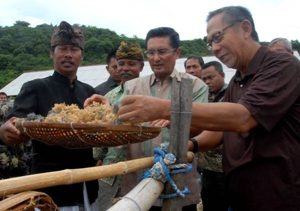 Fadel Muhammad Tinjau Budidaya Rumput Laut Fadel Muhammad Tinjau Budidaya Rumput Laut