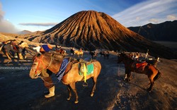 Bromo 13 Tahun Kemudian