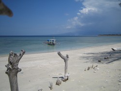 Lovely Gili-T