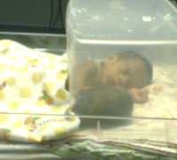 Wanda dan Wandi Sudah Bisa Diajak Ngobrol