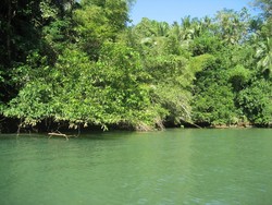 Tetesan-tetesan Air Green Canyon