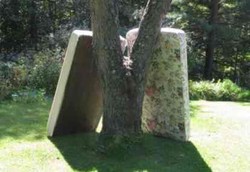 Jangan Tinggalkan Kebiasaan Jemur Bantal dan Kasur