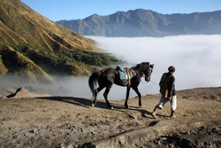 Berjalan Menembus Kabut Bromo