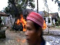 Begitu Banyak Kekerasan, Begitu Sedikit Hukuman