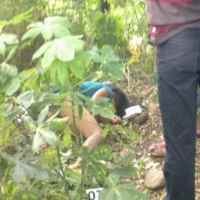 Sesosok Mayat Perempuan Ditemukan Setengah Telanjang di Dekat Tol