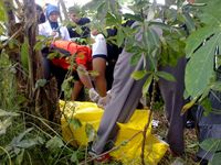 Mayat Perempuan di Dekat Pintu Tol
