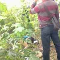 Mayat Wanita Setengah Telanjang Diduga PRT Asal Lumajang