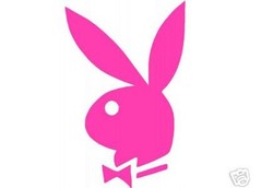 Penyakit Misterius di Sarang Playboy