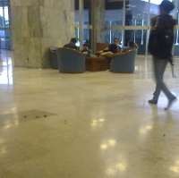 Hati-hati Ranjau Tahi Kucing di DPR