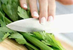 Makan Seledri Sebelum Bercinta Efeknya Luar Biasa