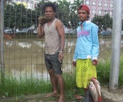 Warga Berebut Ikan Mabok di Kali Malang