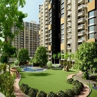 Berubah Warna, Tanaman Bisa Deteksi Bom 