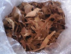 Klingking si Rebung Kering