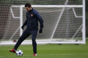 Cesc Akan Cocok di Madrid