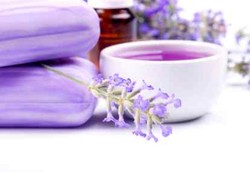 Minyak Lavender Cocok untuk Infeksi Jamur di Kulit